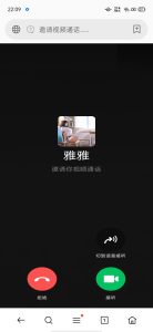 恶搞好友之伪视频通话模板偷拍php源码-狗哥论坛-网络技术